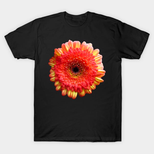 orange flower, marigold, aster, bloom, petal, garden T-Shirt by rh_naturestyles